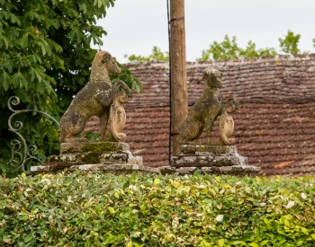 20210806-IMG_0102