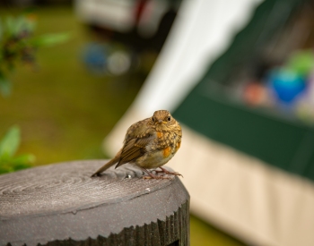 20210806-IMG_0083