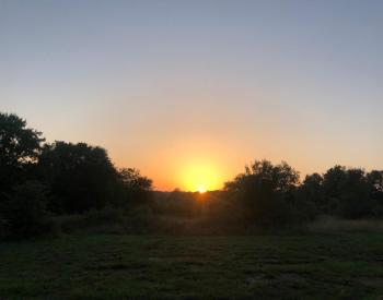 IMG-20230309-WA0022